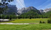 Trail Walking Prags - Braies - lac de braies 1112m 20kms  - Photo 11