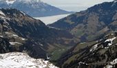 Trail On foot Unknown - Melchsee-Frutt - Tannenalp - Photo 3