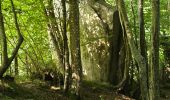 Randonnée Marche Nogent-le-Bernard - Nogent-le-Bernard - Menhir de Courtevrais - Photo 20