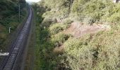 Randonnée Marche Durbuy - gare biron  bois de petithan ac - Photo 1