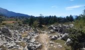 Tour Wandern Ancelle - crêtes d´Auréous : col de la Moissière . Chatégré . St Philippe . lac de Faudon  - Photo 4