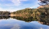 Tocht Stappen Le Revest-les-Eaux - La ripelle - barrage - Ragas - Olivières - Puit - Fourmis - Grottes de sable - Chateau Tourris - Mont combes - Touravelle - Chateau Ripelle                  - Photo 12