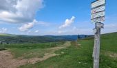 Trail Walking Stosswihr - Honeck depuis Gaschney - Photo 19