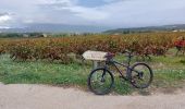 Excursión Bici de montaña Mormoiron - MTB Gravel in the Garden ...... - Photo 4