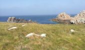 Tocht Stappen Ouessant - Lampaul - tour nord d'Ouessant - Photo 14