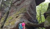 Tocht Stappen Angomont - Le champ de bataille de la Chapelotte - Photo 3