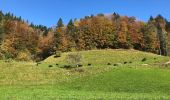 Percorso A piedi Fischenthal - Orüti-Grossegg - Photo 3