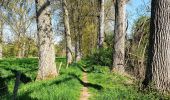 Tocht Stappen Graven - Pécrot - Photo 1