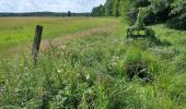 Trail On foot Unknown - Müggel-Spree-Weg - Photo 9