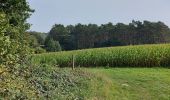 Trail Walking Lasne - autour d'Ohain... - Photo 8