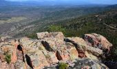 Excursión Senderismo Le Muy - Pk Piste des Corbières - Rocher de la fille d'Isnard - Photo 6