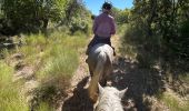 Trail Horseback riding Buoux - Provence 2025 J2 - Photo 13