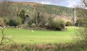 Tour Wandern The Municipal District of Wicklow - Glendalough  - Photo 1