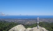 Trail On foot Sintra - Wikiloc - Sintra Parc da Pena - Photo 12