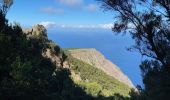 Trail Walking Frontera - Sabinosa - El Sabinar - Ermita Virgen de Los Reyes (El Hierro) - Photo 11