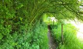 Tour Wandern Florennes - Chaumont Florennes 010623 - Photo 2