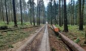 Tour Wandern Libramont-Chevigny - rando bras-bas 19/03/2021 - Photo 14