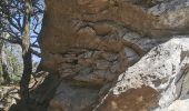 Trail Walking Brignoles - l'Amarron - Photo 11