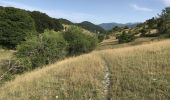 Trail Walking Pescasseroli - Pescasseroli Opi Colle Alti 18 km - Photo 6