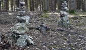 Trail Walking Durbuy - Deux boucles du Rideux-20kms - Photo 2