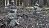 Randonnée Marche Durbuy - Deux boucles du Rideux-20kms - Photo 2