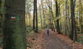 Excursión Senderismo Braine-le-Château - #201113 - Braine-le-Château, Huit Drèves, l'Ermitage et Bois de Clabecq - Photo 8