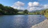 Randonnée Marche Le Lorrain - Boucle Vallon - Morne-Bois - Seguineau - Photo 5