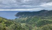 Excursión Senderismo Monterosso al Mare - Monterosso - Vernezza - Photo 6