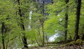 Trail Walking Consolation-Maisonnettes - Cirque de la Consolation - cascade du Lancot - Photo 7