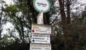 Excursión Senderismo Scherwiller - Scherwiller - Chateaux Ramstein-Ortenbourg-Berstein 2022-10 - Photo 17