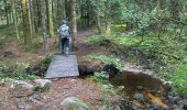 Trail  Saint-Brisson - Saint Brisson Morvan - Photo 8