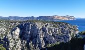 Tocht Stappen Marseille - Belvédère d'en Vau depuis la route de la Gineste - Photo 1