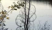 Randonnée Marche Bormes-les-Mimosas - Barrage du Trapan - Pellegrin - Photo 8