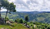 Trail Horseback riding Gerbamont - 2022-06-04 Rando CVA Gerbamont Boucle Foret de Noire Goutte - Photo 3