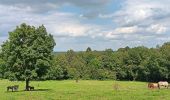 Tour Wandern Ferrières - xhoris adeps 15km 2024  - Photo 6