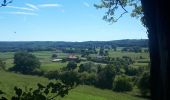 Tocht Noords wandelen Limburg - limbourg_11_06_2022 - Photo 2