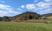 Excursión Senderismo Philippsbourg - 2023-04-09 Marche Chateaux Rothenbourg Waldeck Falkenstein - Photo 6