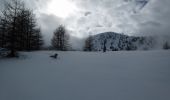 Tour Skiwanderen Le Lauzet-Ubaye - Vallon de l'Ambouin - Crête du Laveret - Photo 5