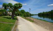 Tour Wandern Bourgueil - Bourgueil - GRP Coteaux de Bourgueil - 26.7km 150m 5h55 (45mn) - 2023 05 06 - Photo 11