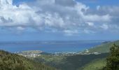 Tocht Stappen Sint Maarten (Frankrijk) - Rando Bellevue  - Photo 2