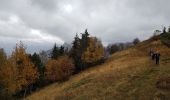 Trail Walking Gresse-en-Vercors - Le Grand Brisou par le col de l'Allimas et la crête des Alleyrons - Photo 4
