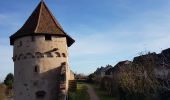 Tour Wandern Sankt Pilt - St Hippolyte - Bergheim - château Reichenberg - Photo 17