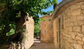 Percorso Marcia La Roque-sur-Cèze - Cascades du Sautadet, maquis et village de Roque-sur-Cèze  - Photo 4