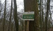 Trail Walking Charleroi - mont sur marchienne dans les bois - Photo 2