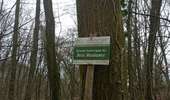 Trail Walking Charleroi - mont sur marchienne dans les bois - Photo 2