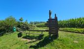 Tocht Stappen Bouillon - Le Sentier des Points de Vues - Bouillon - Photo 5