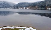 Tocht Stappen Xonrupt-Longemer - Le tour du lac de longemer  - Photo 11