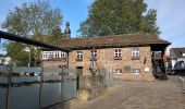 Tour Zu Fuß Beverungen - Über den Selsberg - Photo 4