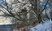 Randonnée Marche Ganac - cabane des Bladas - Photo 6