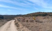 Tocht Stappen Ille-sur-Têt - puig pedros  - Photo 17